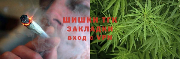 бошки Бородино