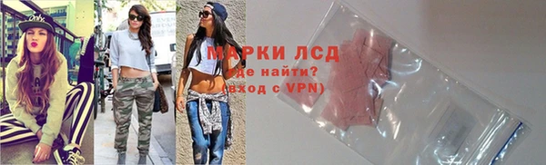 бошки Бородино