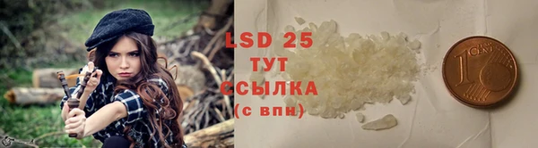 молекула духа Богданович