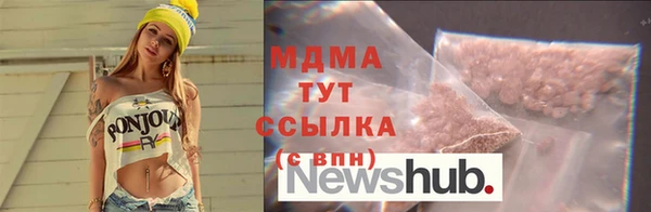 молекула духа Богданович