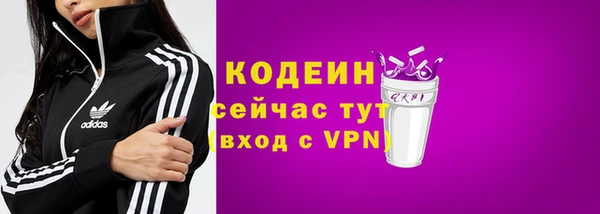 молекула духа Богданович