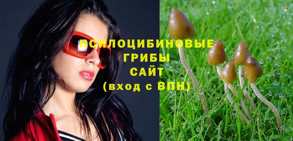 молекула духа Богданович