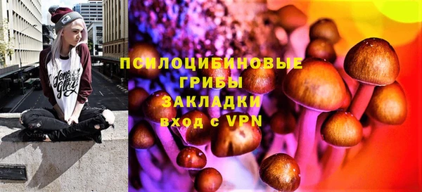 бошки Бородино