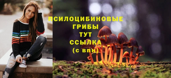молекула духа Богданович