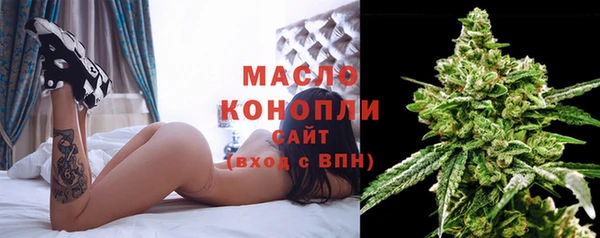 молекула духа Богданович