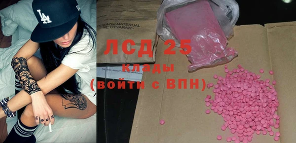 молекула духа Богданович